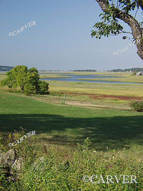 Cox Reservation
Boats are distant on the Essex River as seen from the Cox Reservation in Essex, MA.
Keywords: Cox Reservation;Essex river;photograph;picture;summer